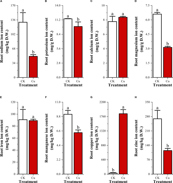 Figure 2