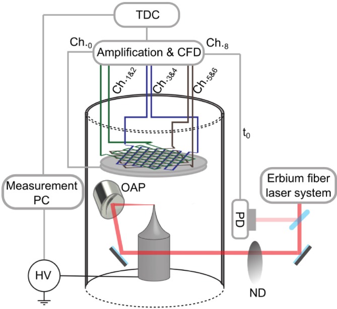 FIGURE 2