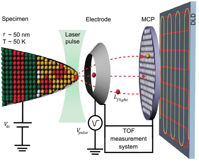 FIGURE 1