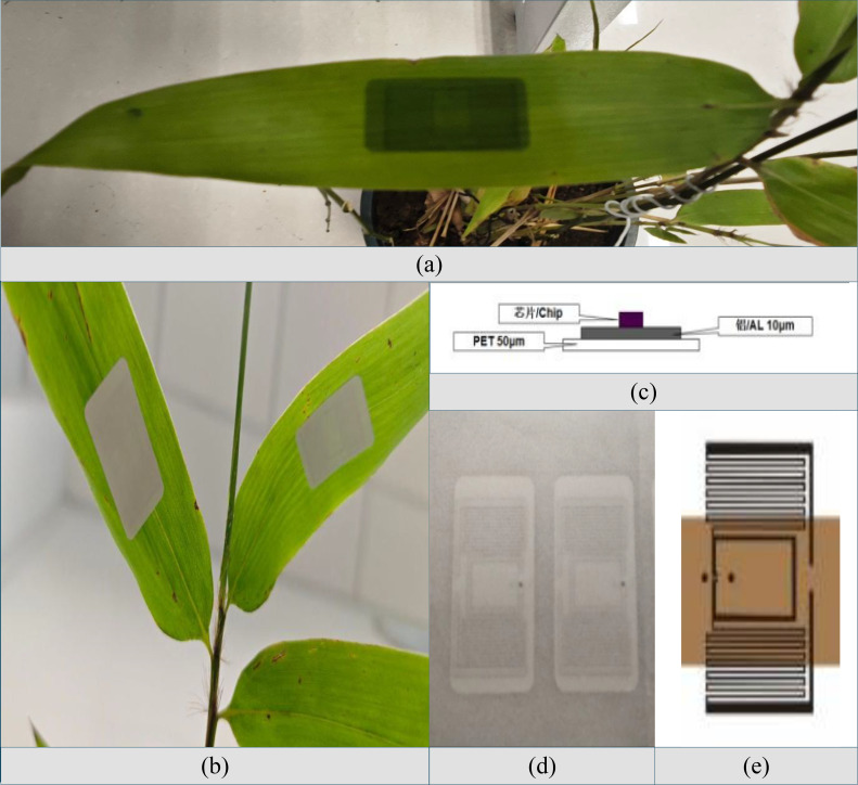 Figure 6