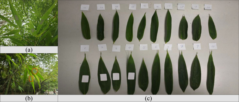Figure 9