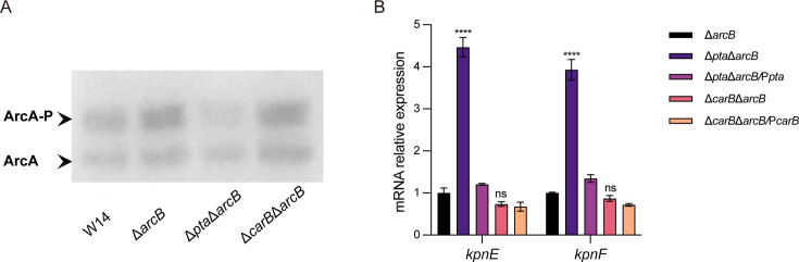 Fig 9