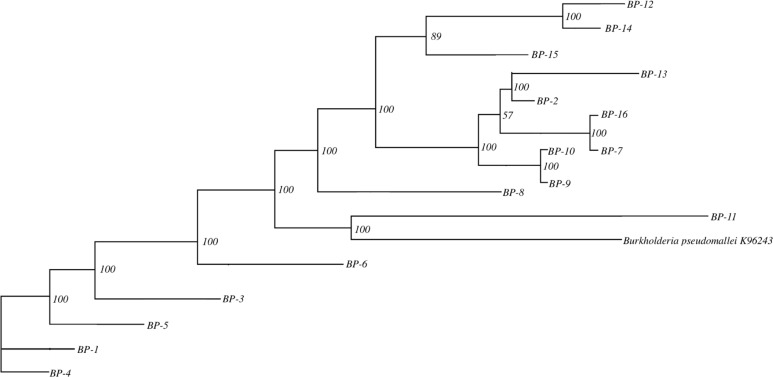Fig 4