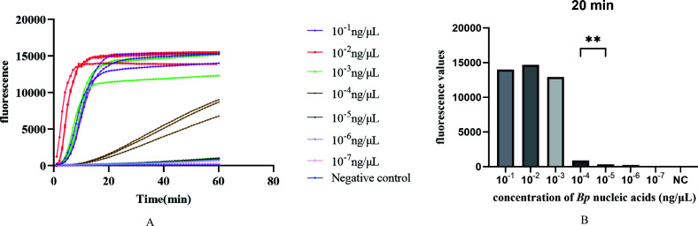 Fig 8