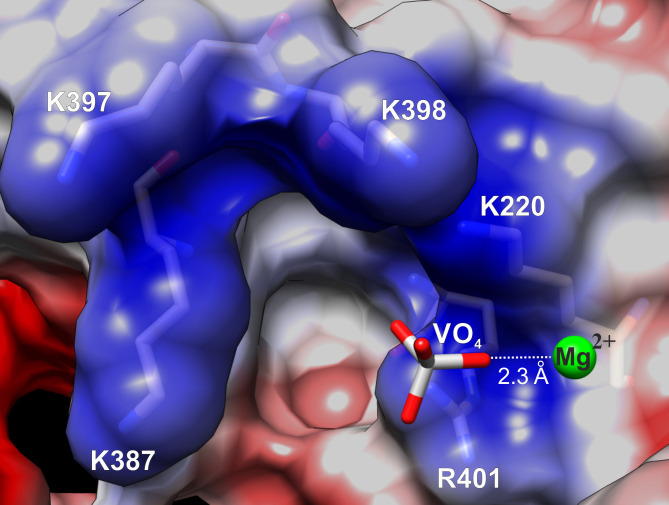 Fig 4