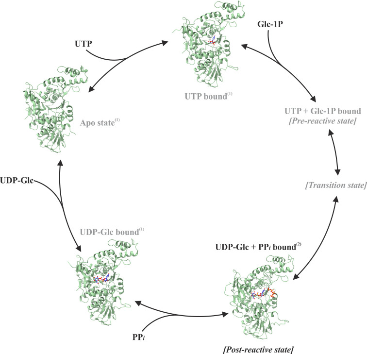 Fig 6