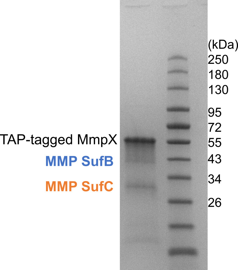 Fig 4