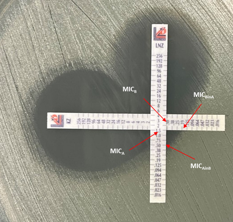 Figure 1