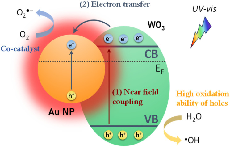 Figure 12