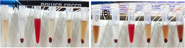 Figure 10
