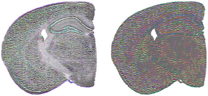 Figure 8