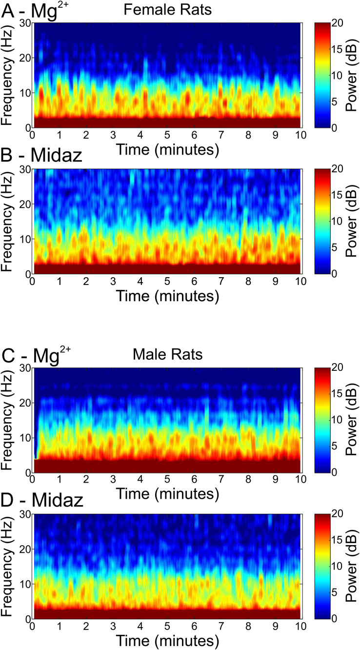 Figure 6