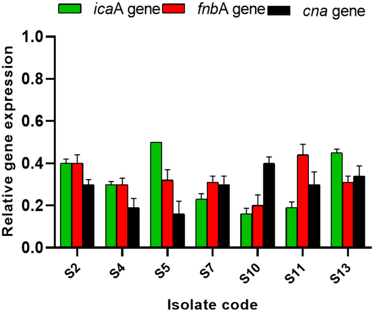 Figure 7