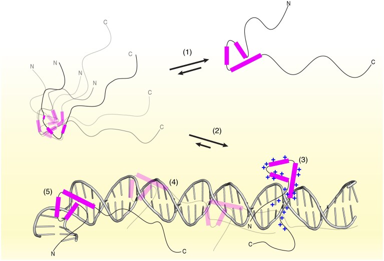 Figure 8