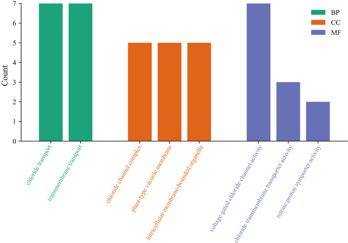 Figure 7