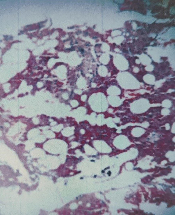 Figure 5