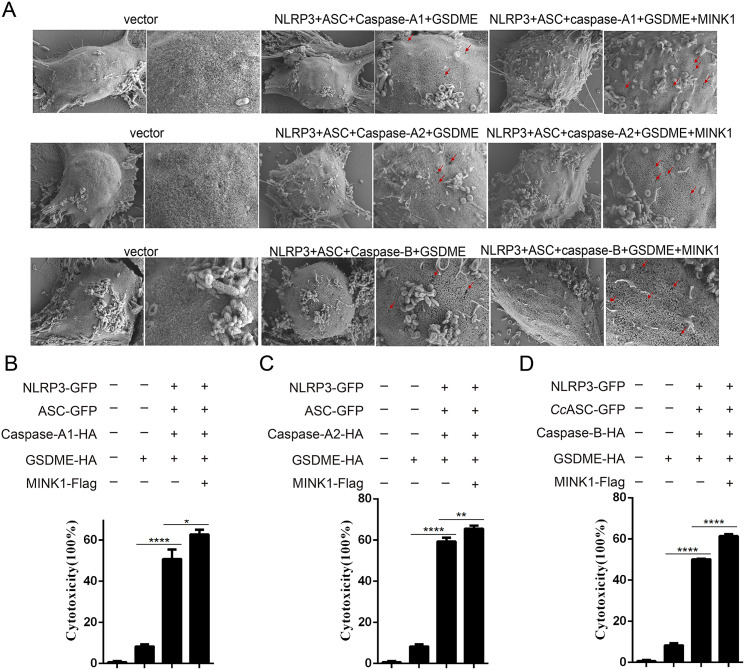 Figure 6
