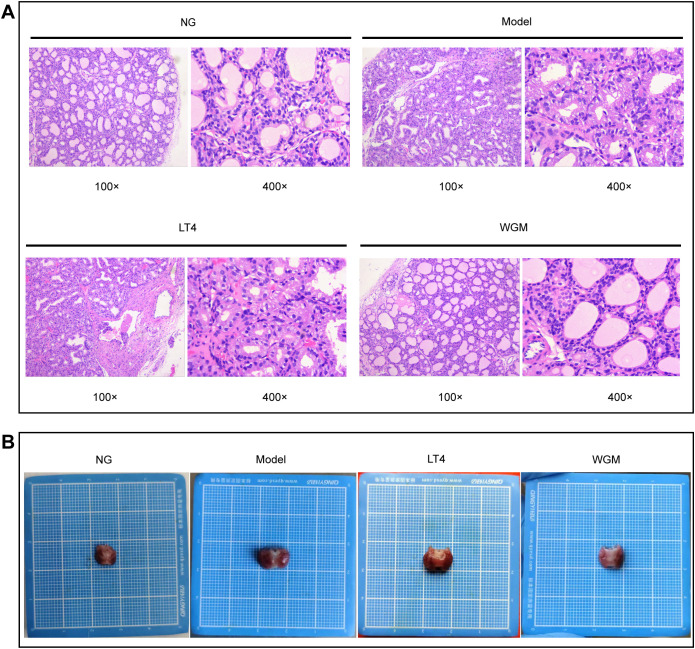 Figure 3