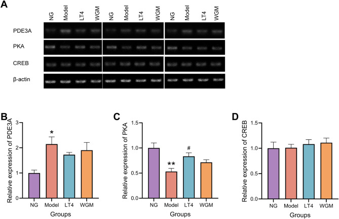 Figure 6