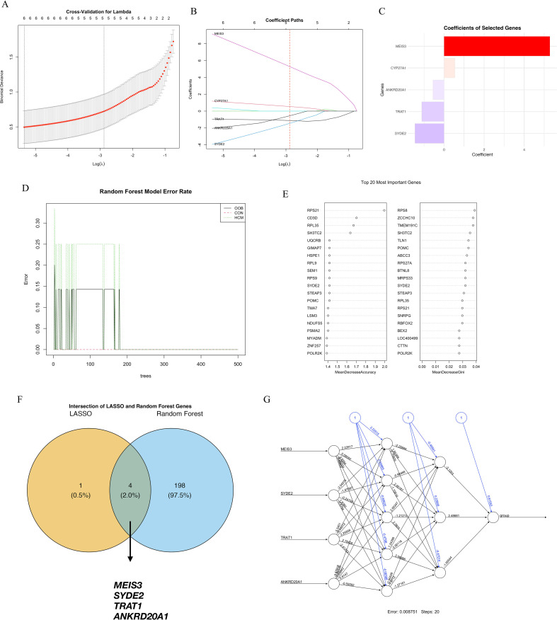 Figure 3