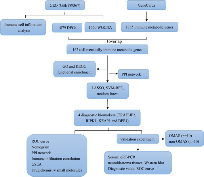 FIGURE 1