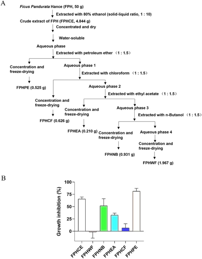 FIGURE 1