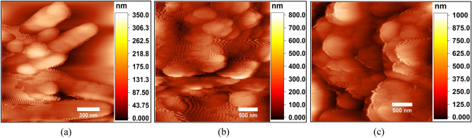 Figure 5