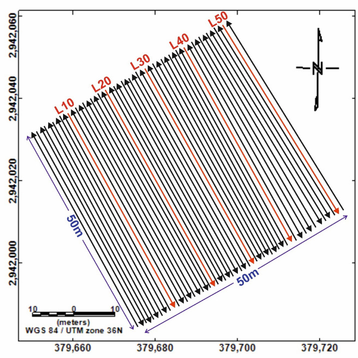 Figure 6