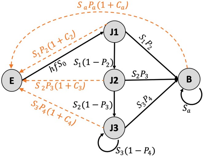 FIGURE 2