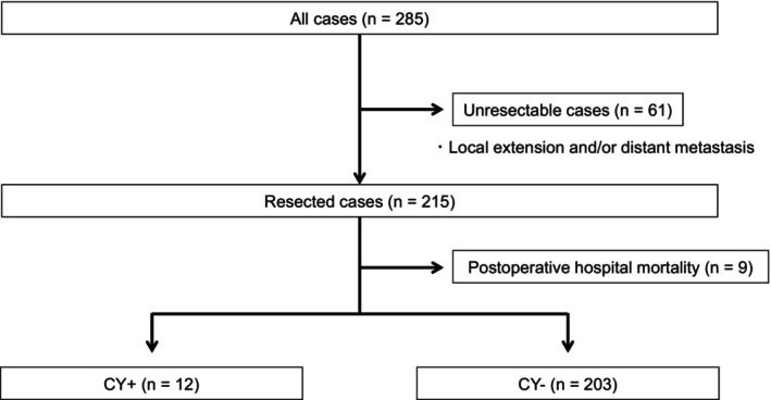 FIGURE 1
