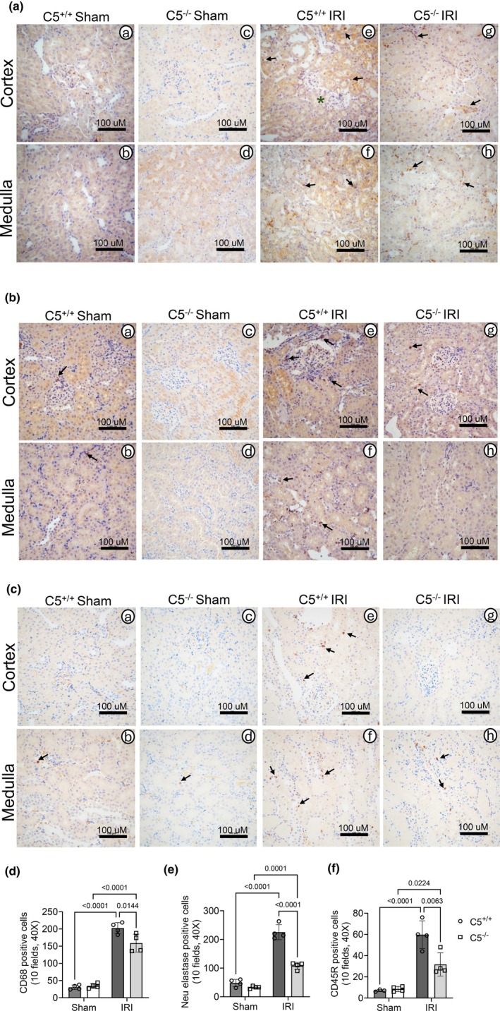 FIGURE 14