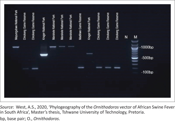FIGURE 3
