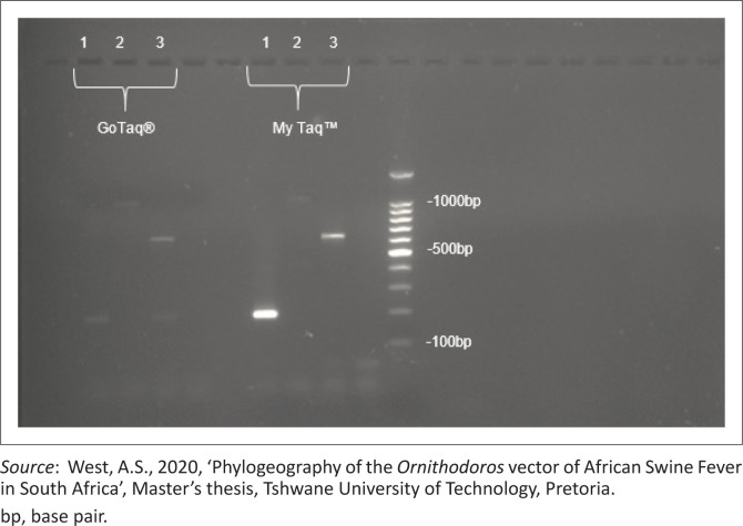 FIGURE 4