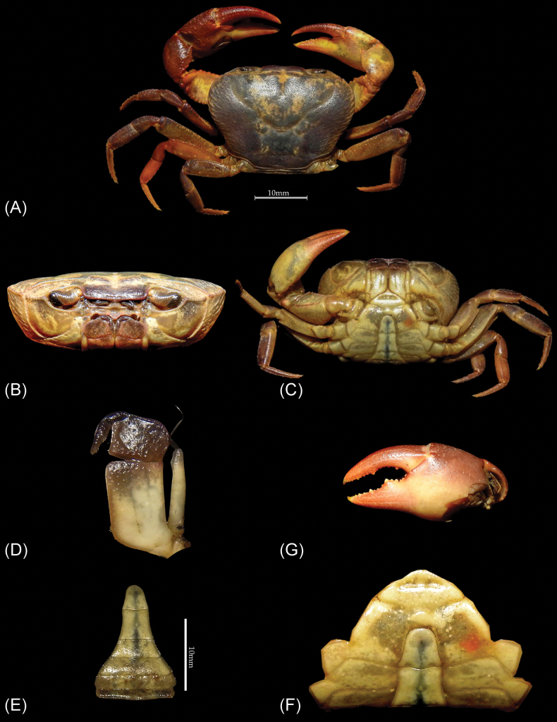 Figure 2