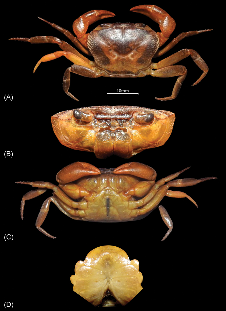 Figure 4