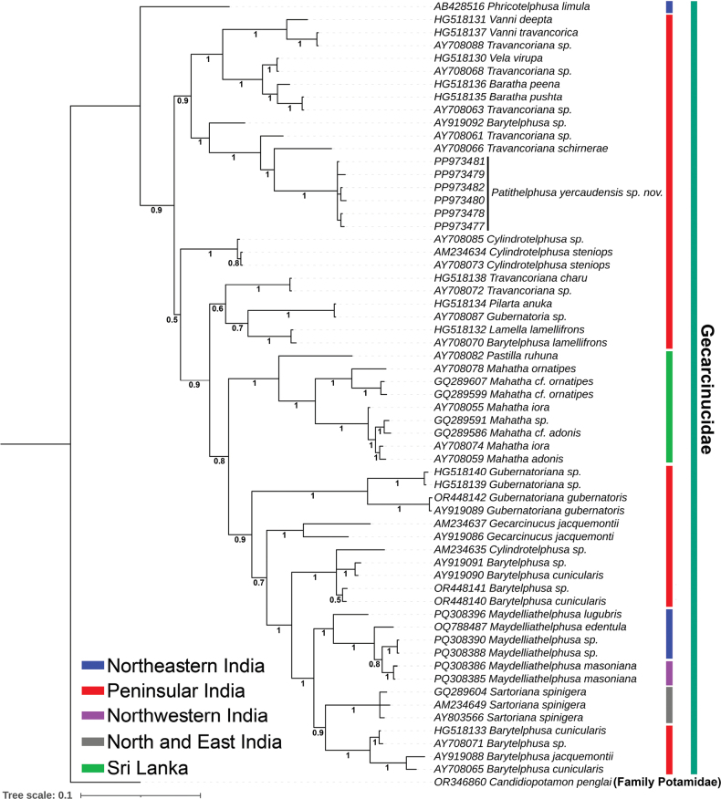Figure 6