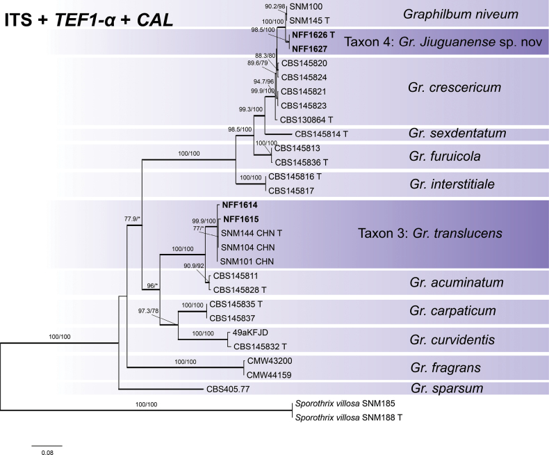 Figure 4