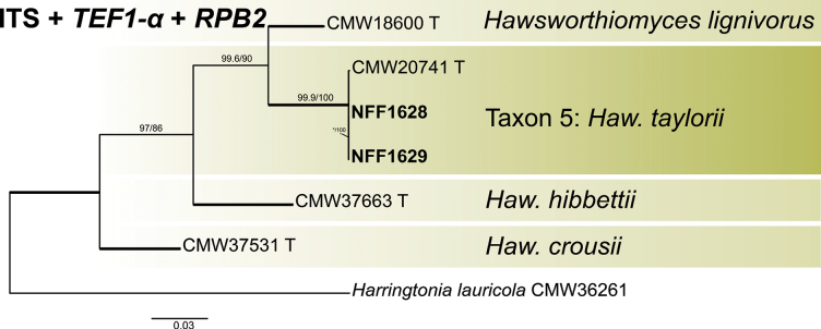 Figure 5