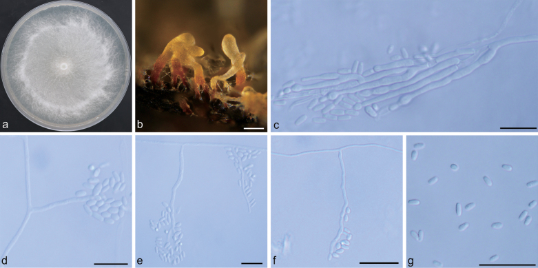 Figure 10