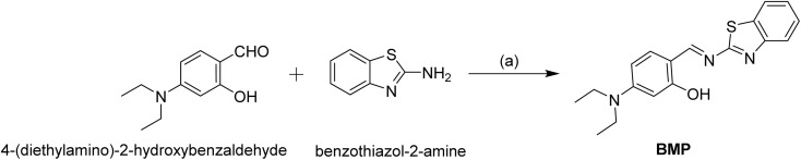 Scheme 2