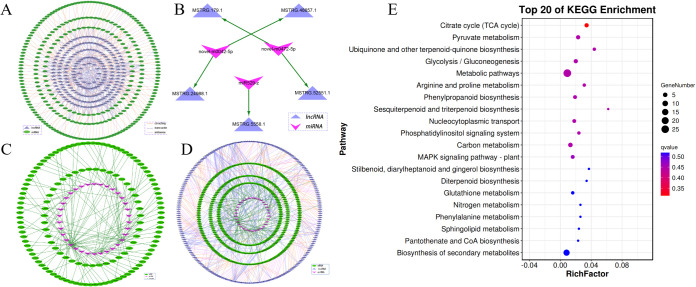 Figure 4