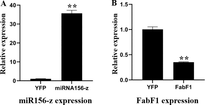 Figure 7