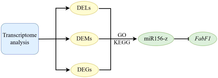 Figure 8