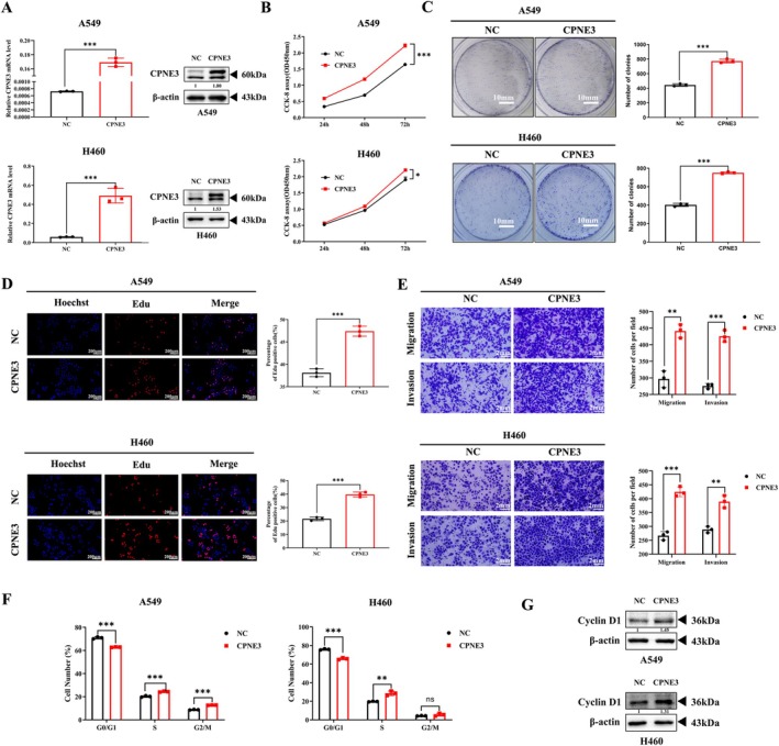 FIGURE 3