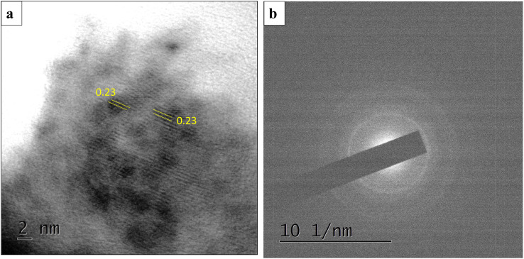 Fig. 8