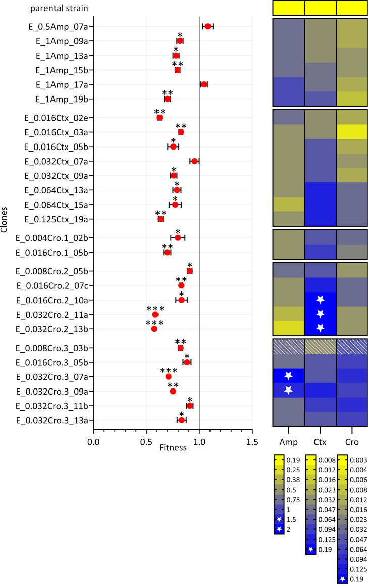 Fig 4