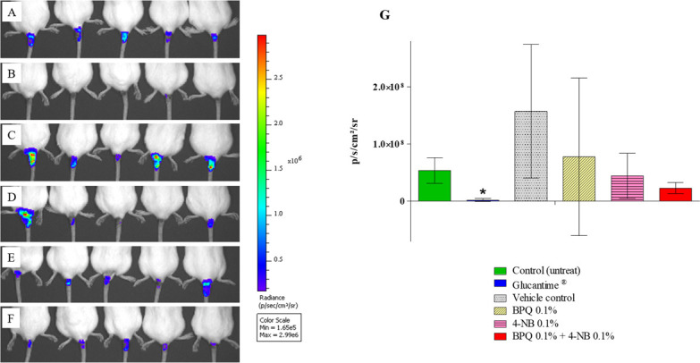 Fig 6