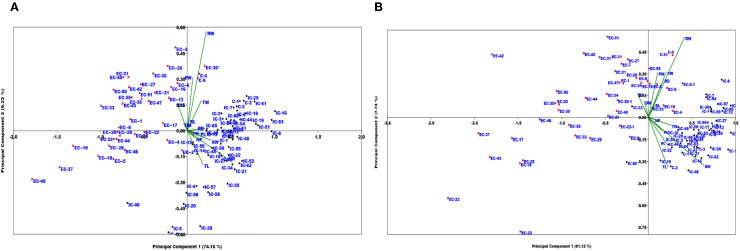 Figure 3
