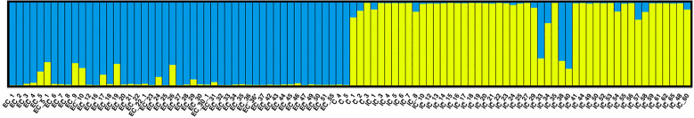 Figure 6