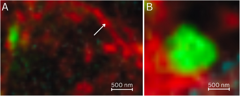 Fig. 7